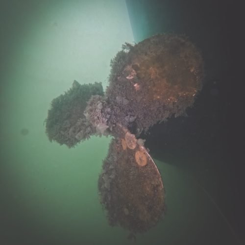 Heavily fouled boat propeller before underwater cleaning
