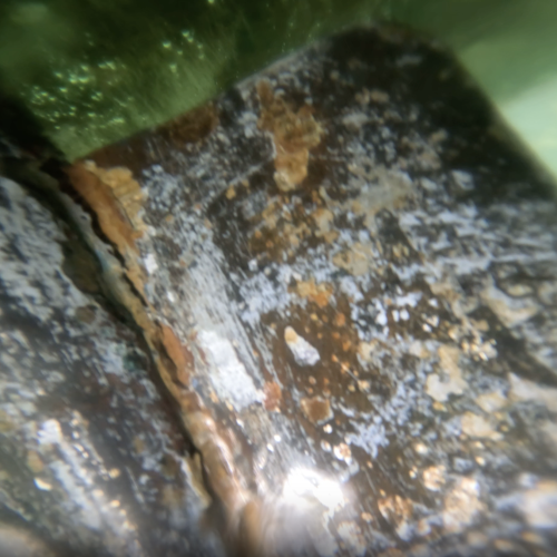 Corrosion and marine growth found during underwater hull inspection